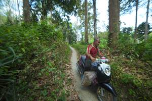 BIB: 
                            <button type="button" onclick="openModal(21744927)" class="btn btn-primary btn-sm float-right btn-popup" data-toggle="modal" data-target=".modal-high-quality">
                        <i class="fas fa-shopping-cart"></i> Add to Cart
                    </button>
                                            <button type="button" onclick="isThisMe(21744927, true)" class="btn btn-success btn-sm float-right btn-popup btn-isme hidden" data-toggle="tooltip" data-placement="bottom" title="นี่คือรูปของคุณใช่ไหม คลิกที่นี่เพื่อเอาเข้าอัลบั้ม">
                        <i class="fas fa-plus"></i> Add to album
                    </button>
                    <button type="button" onclick="isThisMe(21744927, false)" class="btn btn-warning btn-sm float-right btn-popup btn-isnotme hidden">
                        <i class="fas fa-ban"></i> Remove from album
                    </button>